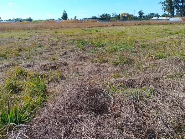 Commercial & Industrial Land