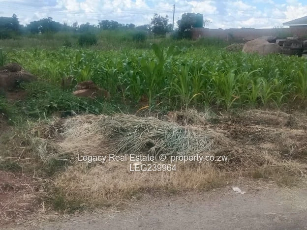 Prime Manresa Stand For Sale Near Women’s University,1,900sqm Development Stand .