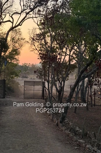 Juliasdale Property for Sale
