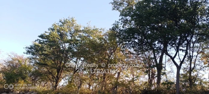 Mlibizi  Resort  (Sole Mandate)