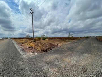 Stands & Residential Land