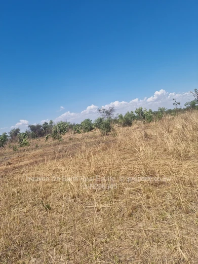 Beautiful farm for sale