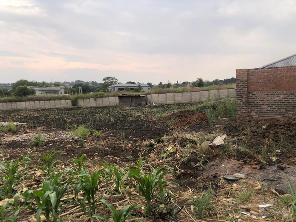 Stands & Residential Land