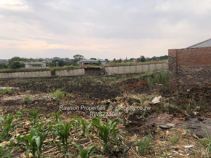 Excellent Opportunity 