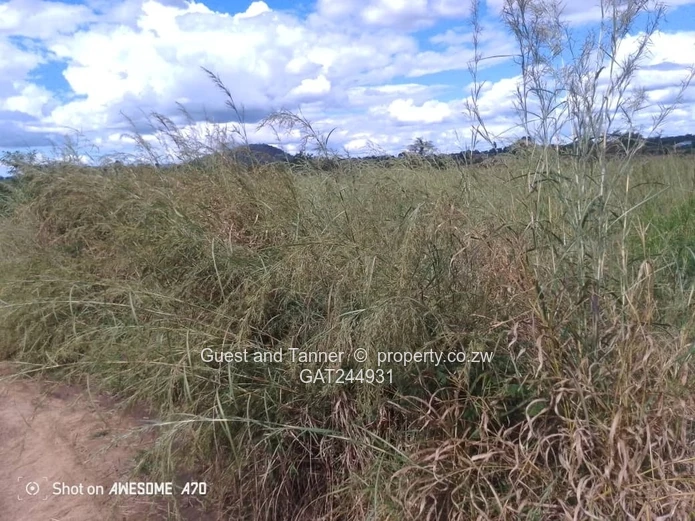Residential Stand For Sale In Greenhill Bindura