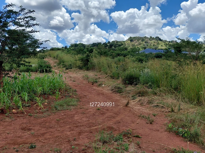 Borrowdale Crowhill Stand 