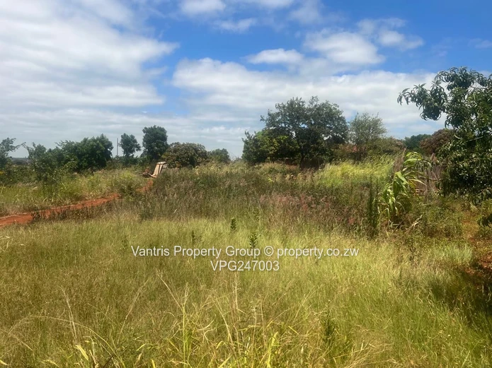 Prime 300sqm - 1710sqm  — Whitecliff Commercial Stands with payment terms 