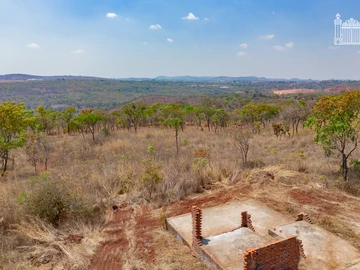 Farm & Agricultural Land