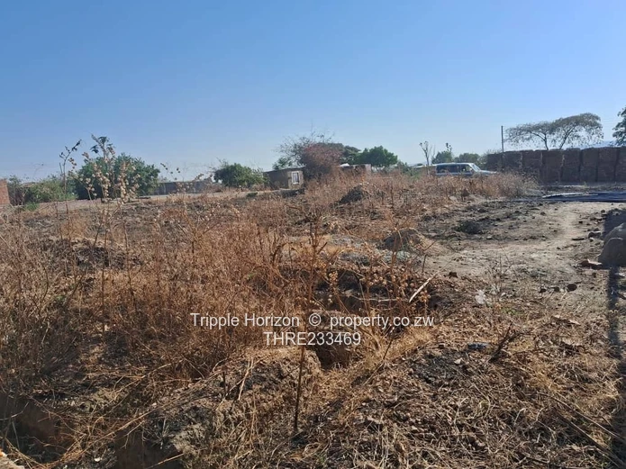 Investment Opportunity 