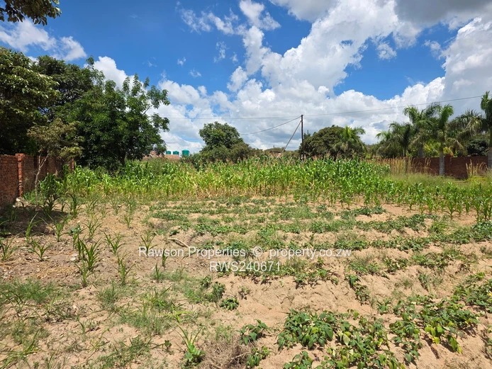  New on the market  (Sole Mandate)