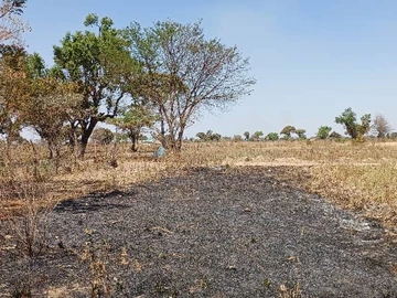 Farm & Agricultural Land