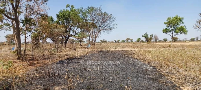 Agricultural Plots  (Sole Mandate)