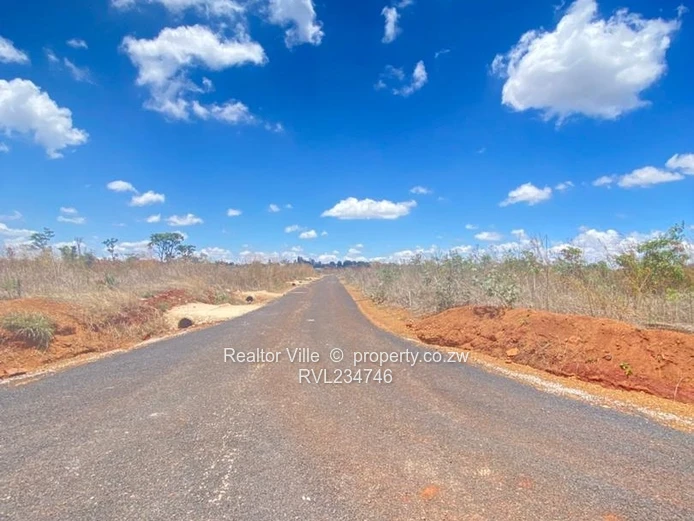 Nyeredzi Ridge Stands for Sale 