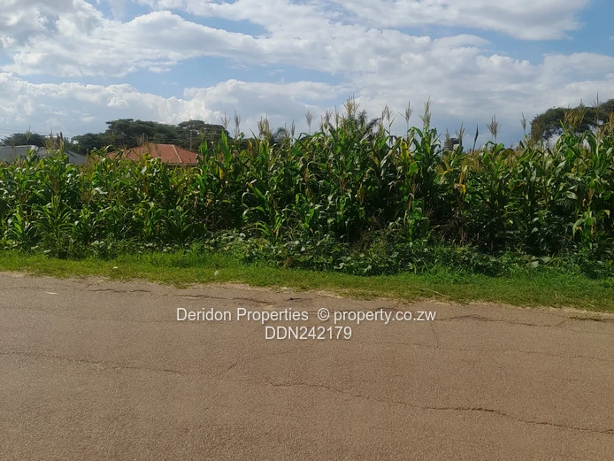 Build your dream home 