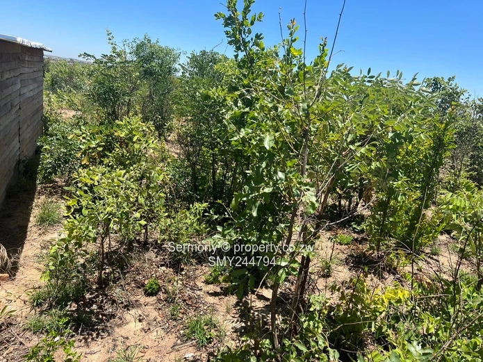 Residential Stands Up For Grabs