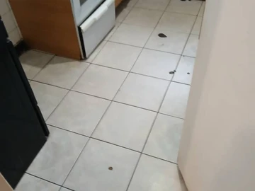 3 Bedroom Flat & Apartment