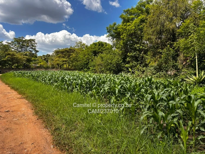 Subdividable 6,705 m² Marlborough deeds available — Walled, Main 