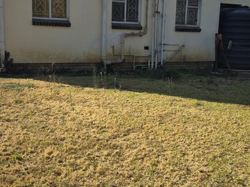2 Bedroom Flat & Apartment
