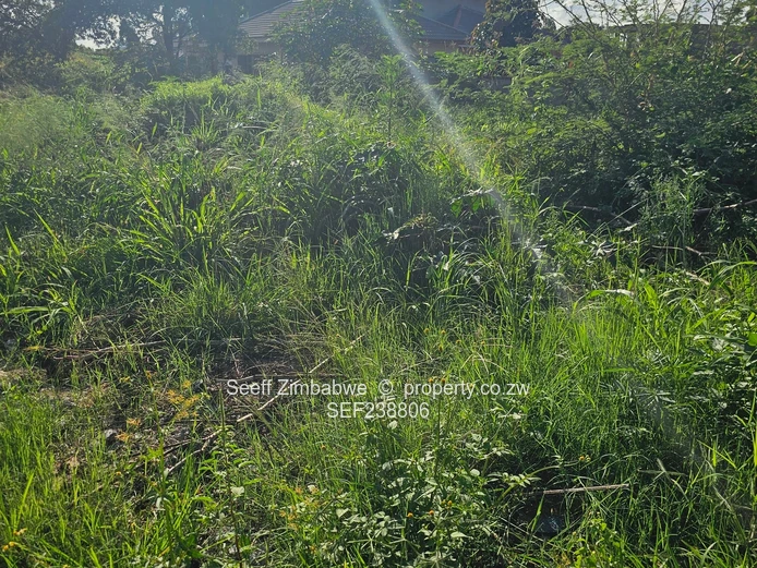 Investment opportunity in Arlington! (Sole Mandate)