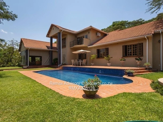 Tranquil Dream In The Brooke