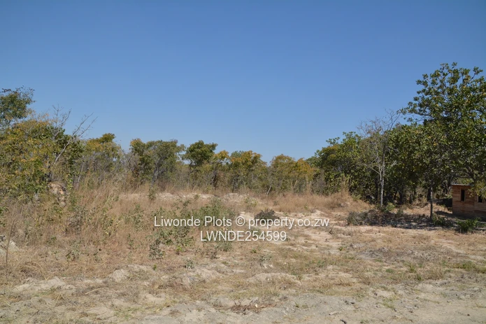 1ha Goromonzi Farm — Arable Field by Gravel Main Road