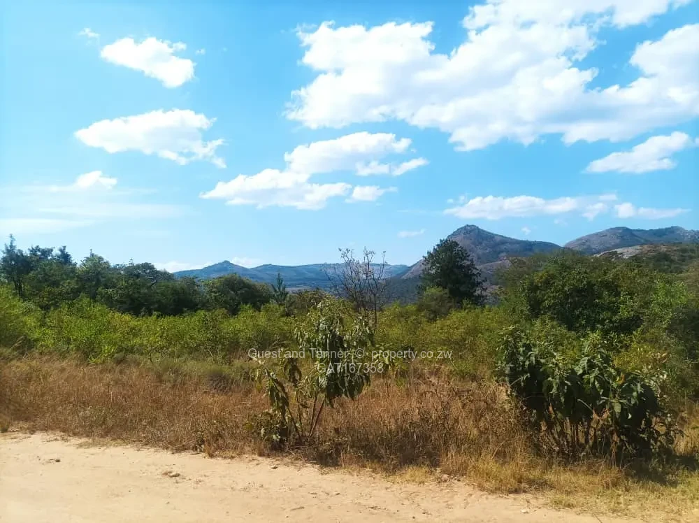 Stands & Residential Land for Sale in Nyanga GAT167358