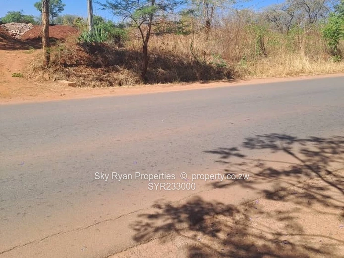 Borrowdale Stands For Sale