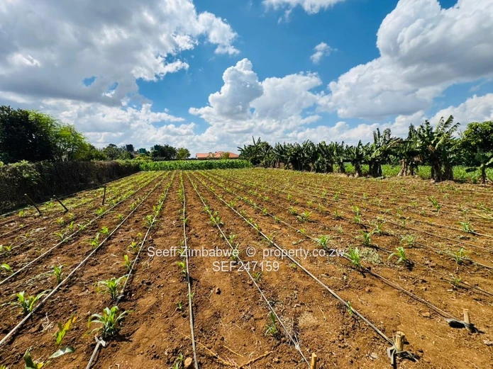 Prime Multi-Purpose Plot | Knowe, Norton