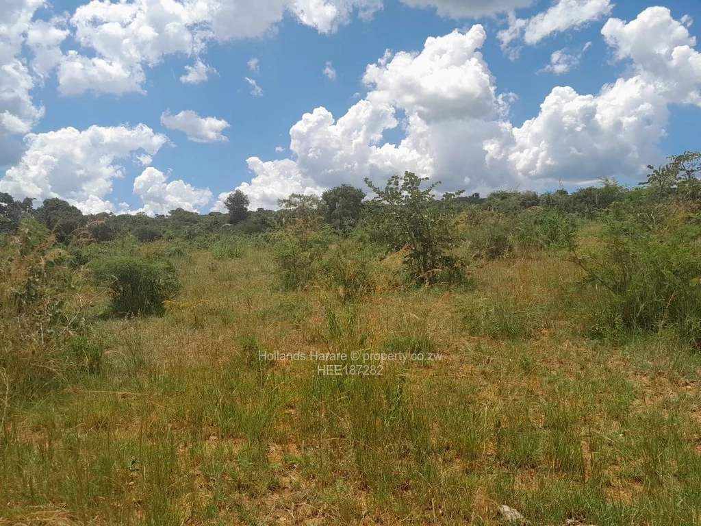 Farm & Agricultural Land for Sale in Nyanga HEE187282