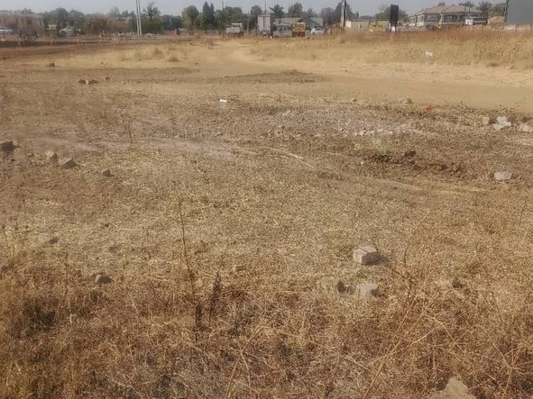 Commercial & Industrial Land