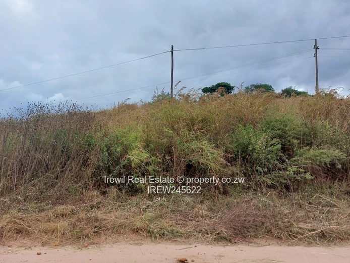 Shawasha Hills Stands on Sale (Sole Mandate)