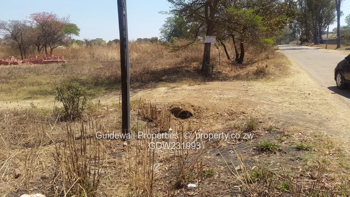 Mazowe (Amandas Extension Low Density stands for sale.