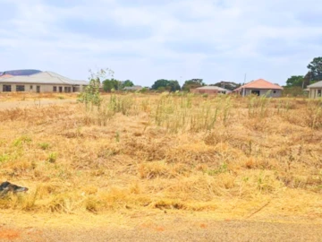 Stands & Residential Land