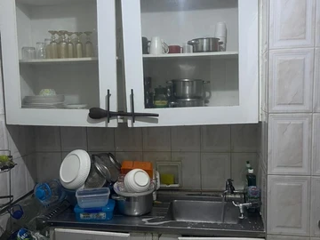 Flat & Apartment