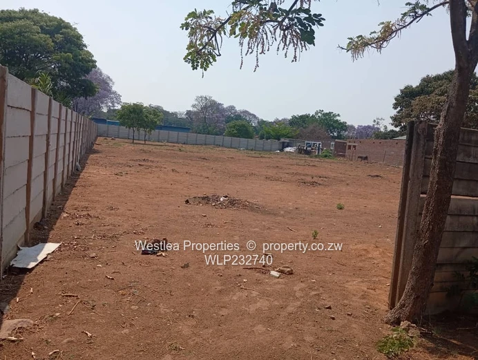 An opportunity not to miss