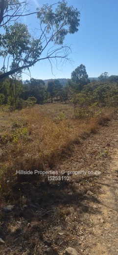 Nyanga stands for sale 15usd per square 