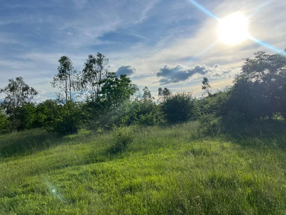 Farm & Agricultural Land