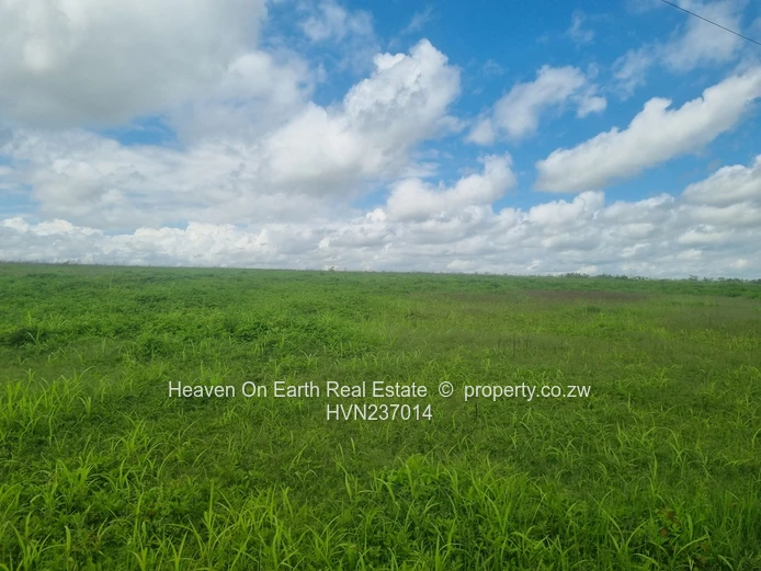 Green Gold For You Farmers!!