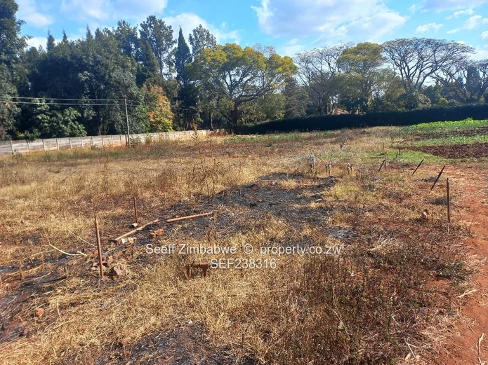 Prime Investment Opportunity in Mtausi Park, Gweru