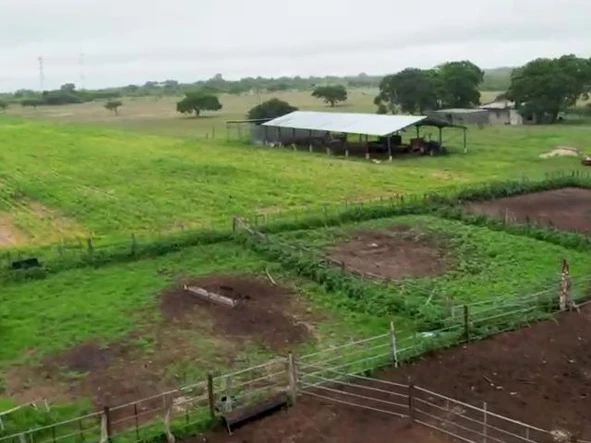 Farm & Agricultural Land