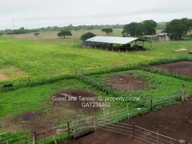 Premium 632.97ha Established Cattle Ranch for Sale – Plumtree, Zimbabwe