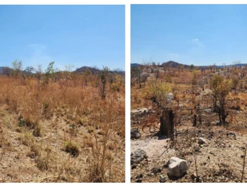 Commercial & Industrial Land