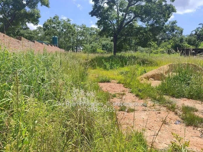 Borrowdale, Carrick Creagh Estate Stand For Sale