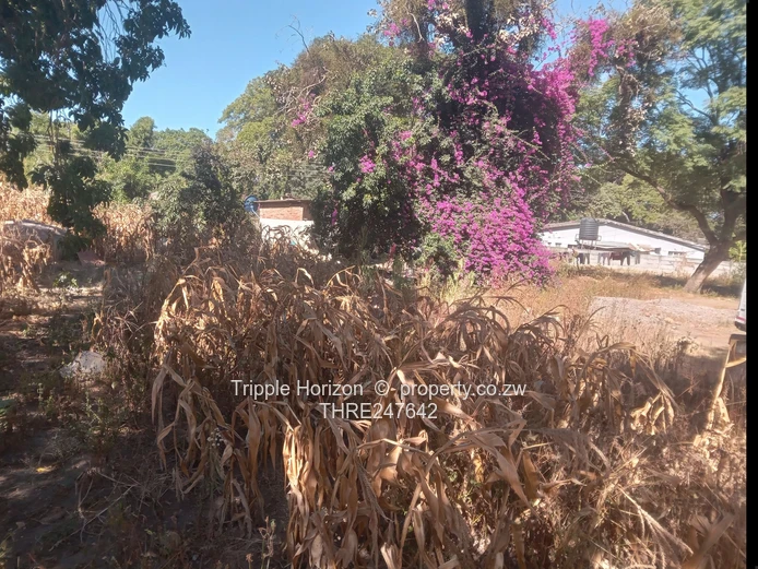 Waterfalls derbyshare house for sale 