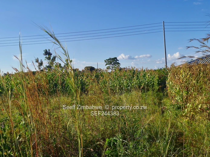 Tawona Gardens Residential Stand in Ruwa (Sole Mandate)