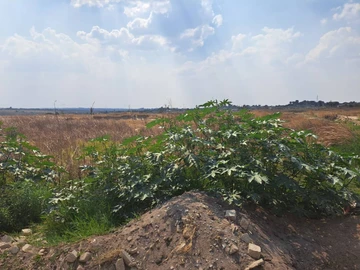 Commercial & Industrial Land