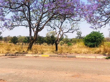 Commercial & Industrial Land