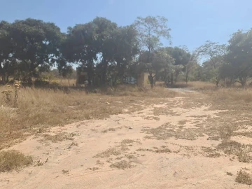 Farm & Agricultural Land
