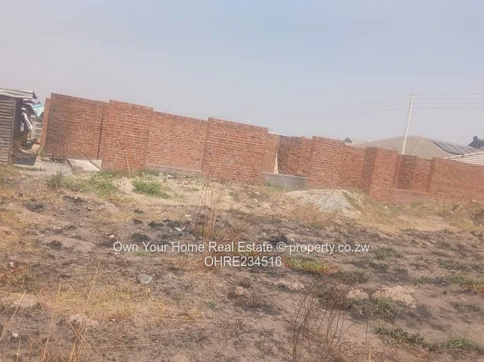 Galudina Stand for sale 