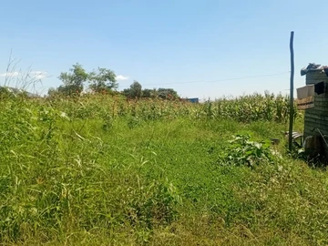 Prime 1000 m² Residential Land in Haydon Park, Harare West